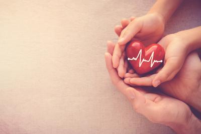 Hábitos para prevenir las enfermedades del corazón | Regolodos